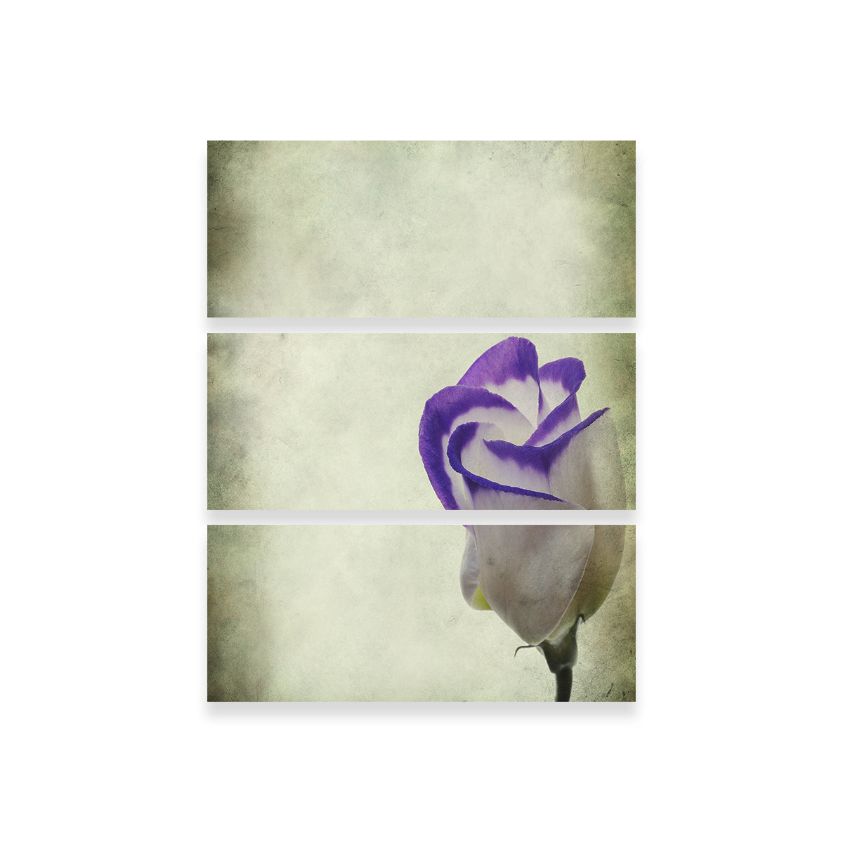 Stunning Vintage Lisianthus Wall Art for Home Decor