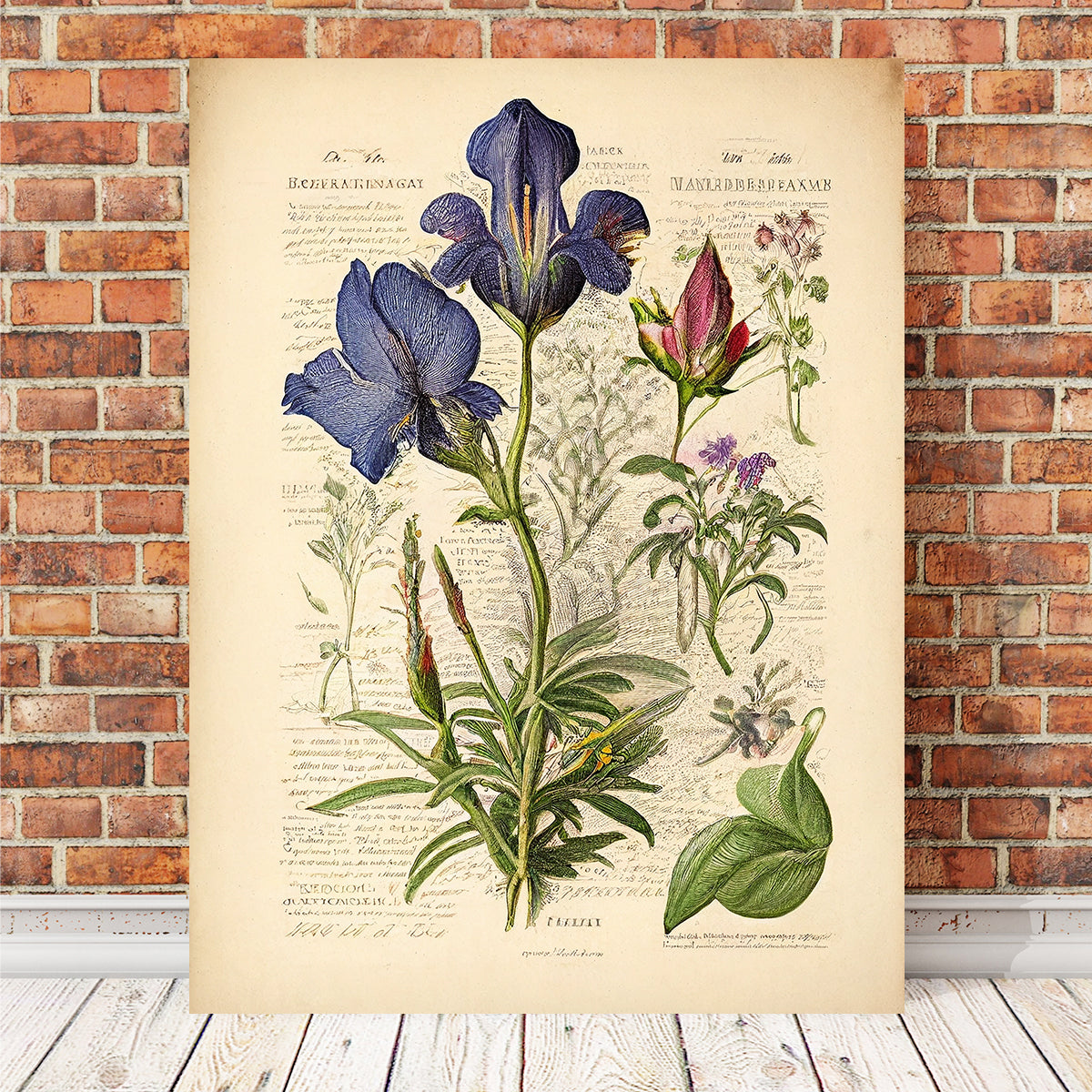 Exquisite Vintage Botanical Print Series 7 Wall Art for Home Decor
