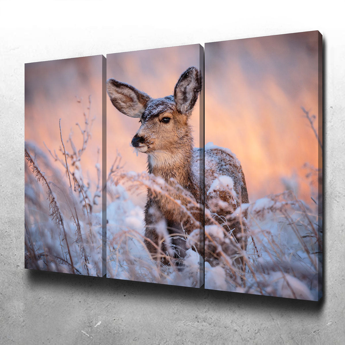 Stunning Colorado Doe Wall Art for Your Home Decor