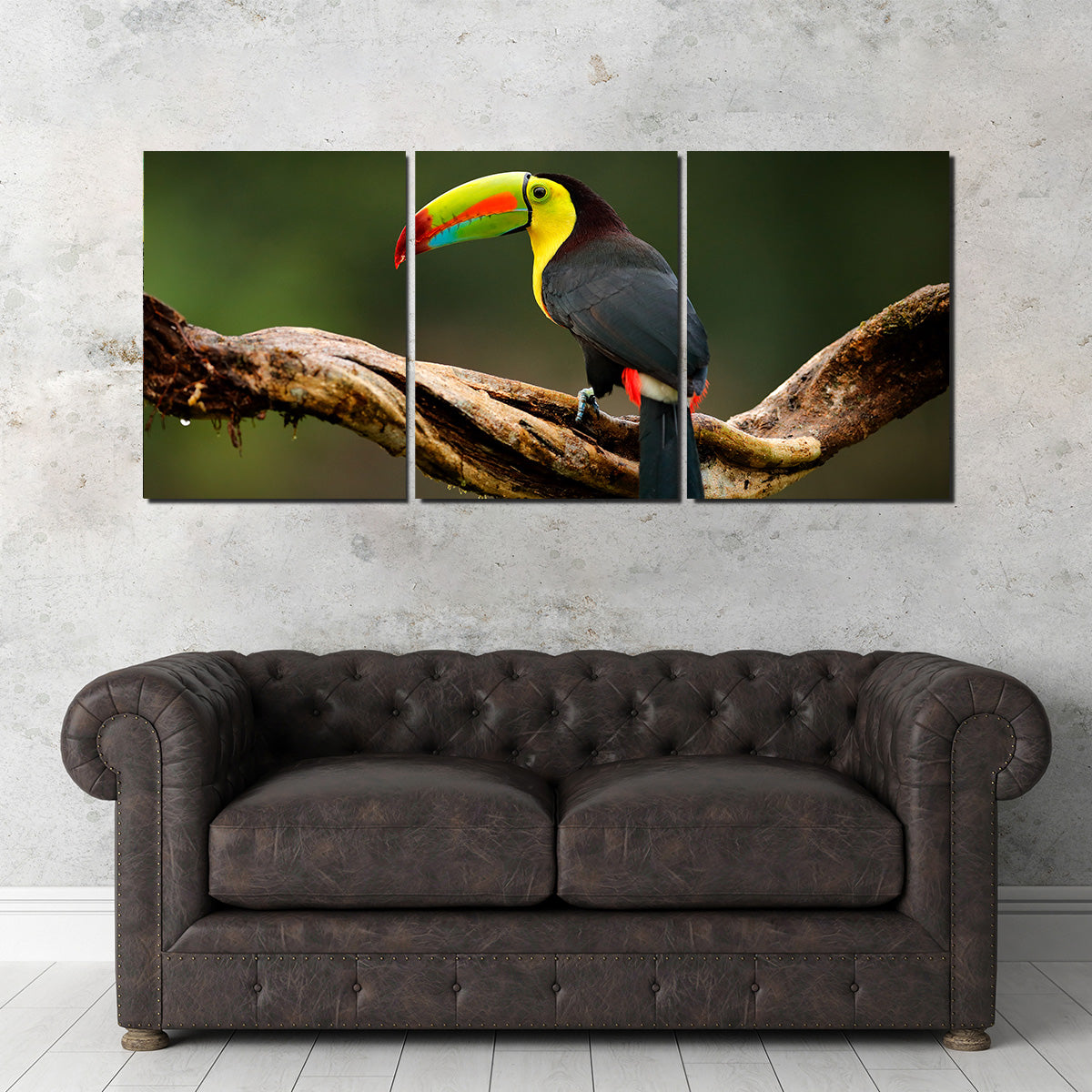 Exquisite Keel - billed Toucan Wall Art for Stunning Home Decor
