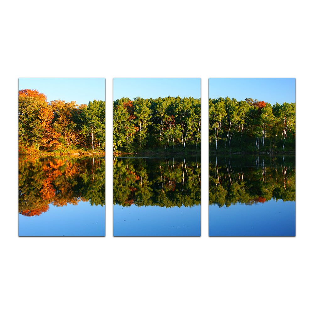 Stunning Kettle Moraine State Forest Wall Art for Home Decor