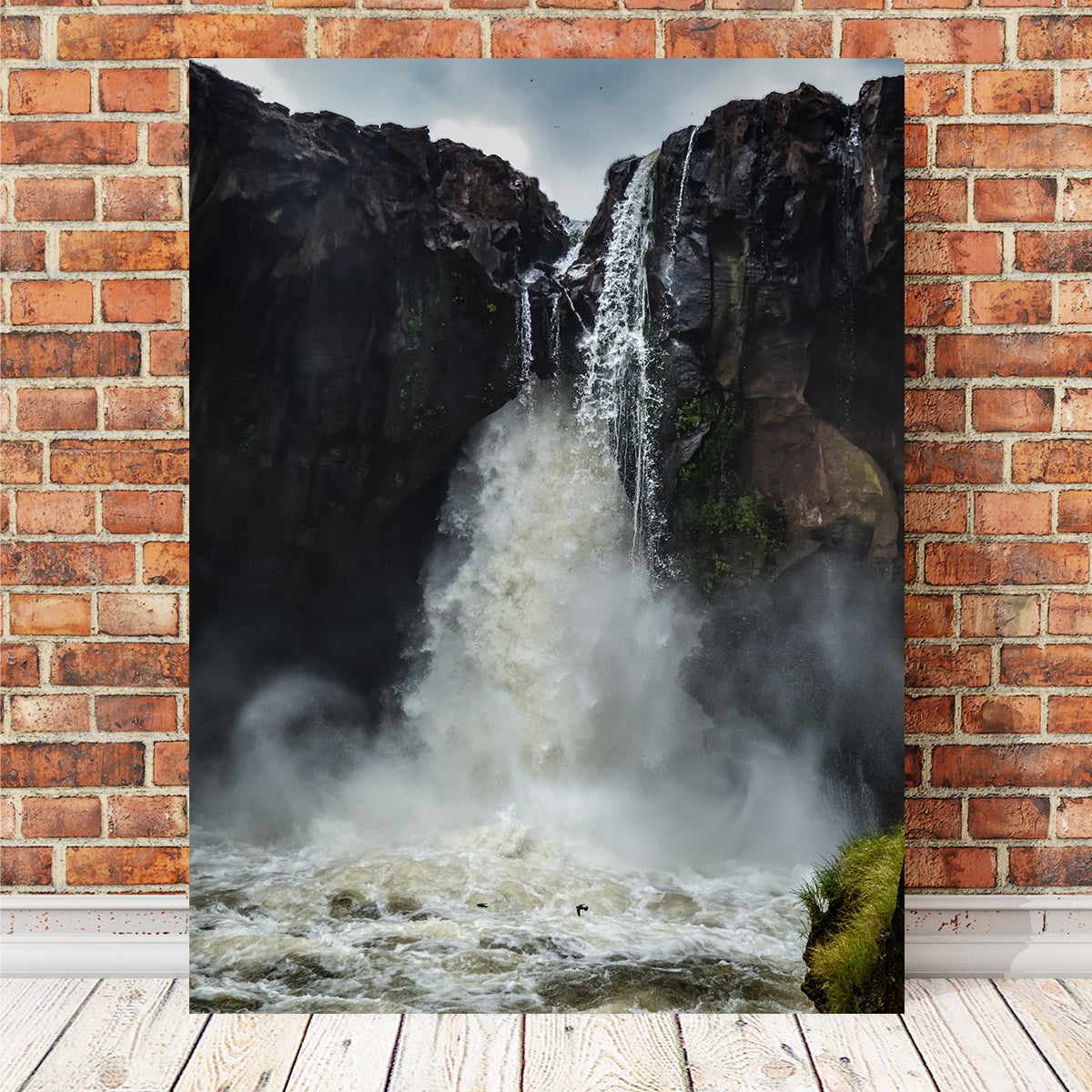 Stunning Fearless Birds Wall Art at Prata Waterfall by Sofia Leite Fonseca