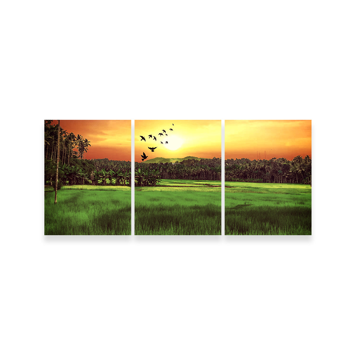 Stunning Sunset Landscape Wall Art by Dina Rolle