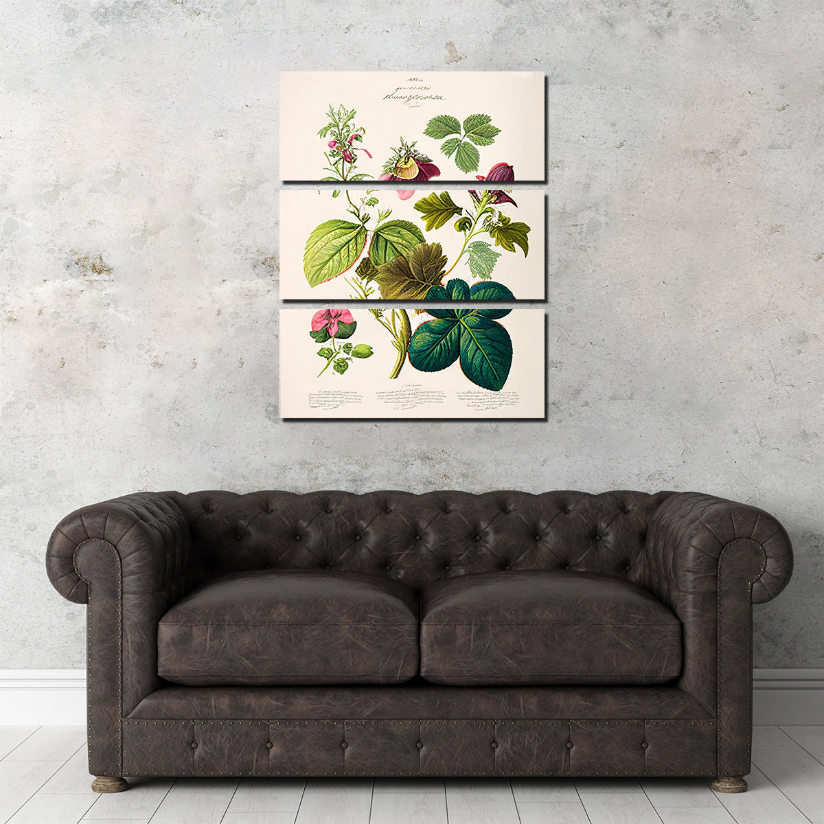 Exquisite Vintage Botanical Print Series 6 Wall Art by Jennifer Hotai