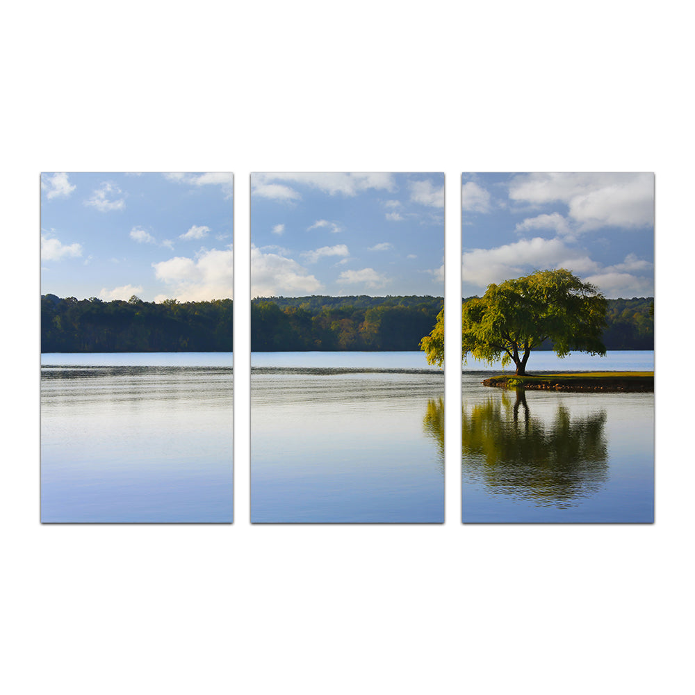 Stunning Willow Tree On The Tennessee River Wall Art for Your Home Decor