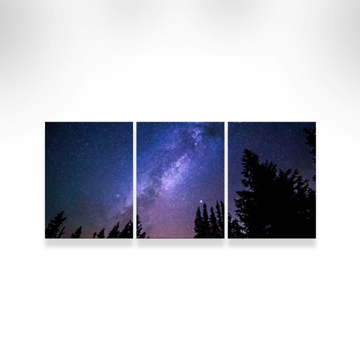 Breathtaking Conifers Reaching To Milky Way Wall Art by Denise Dundon