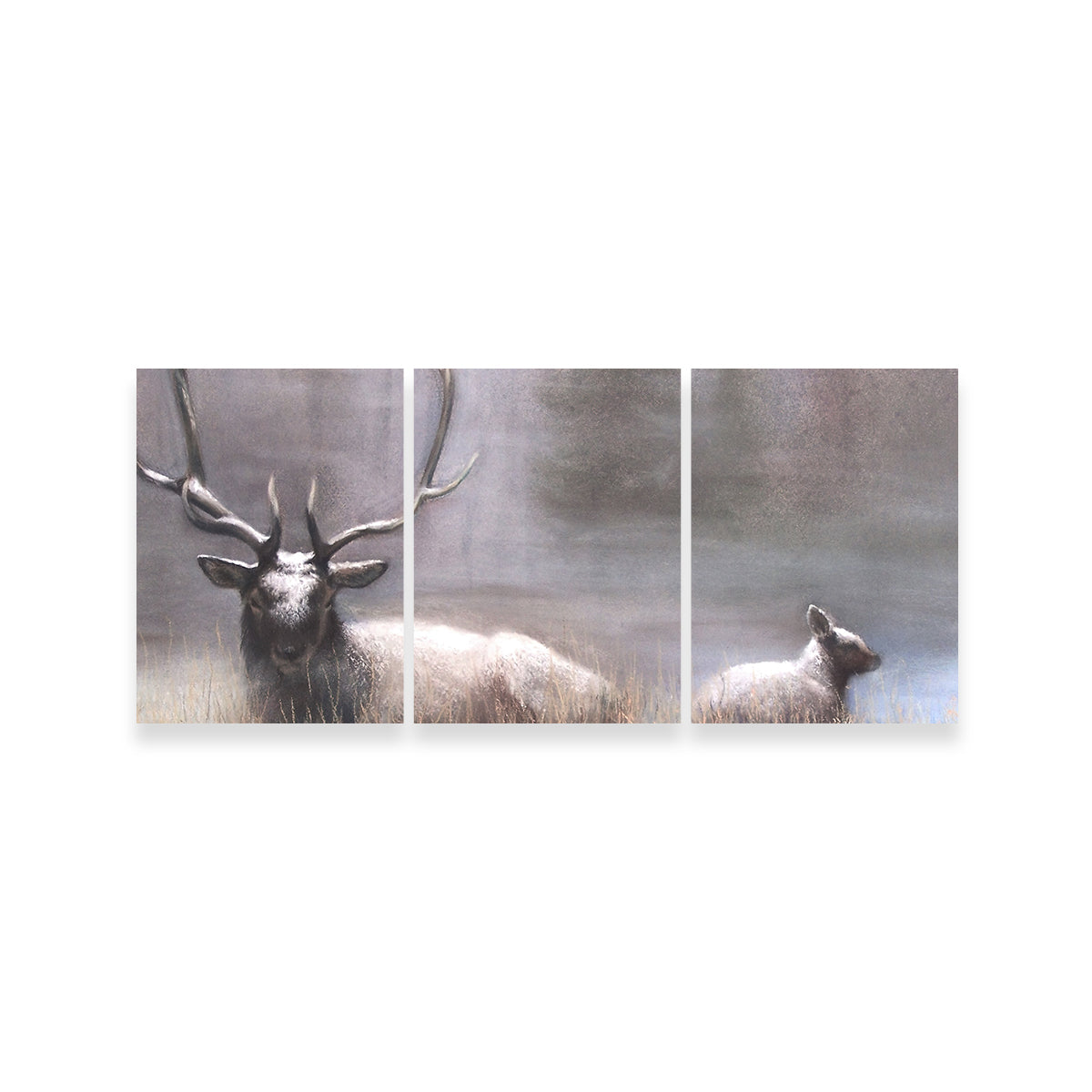 Exquisite Bull Elk & Calf Wall Art by Patricia Jaggie
