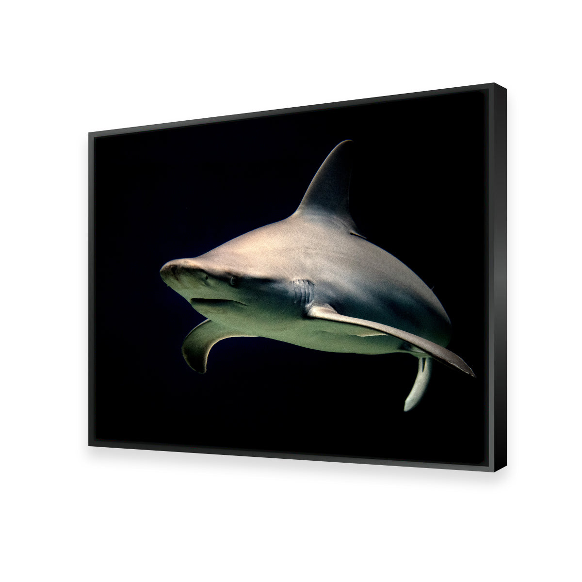 Stunning Bull Shark at Night Wall Art for Your Home Decor