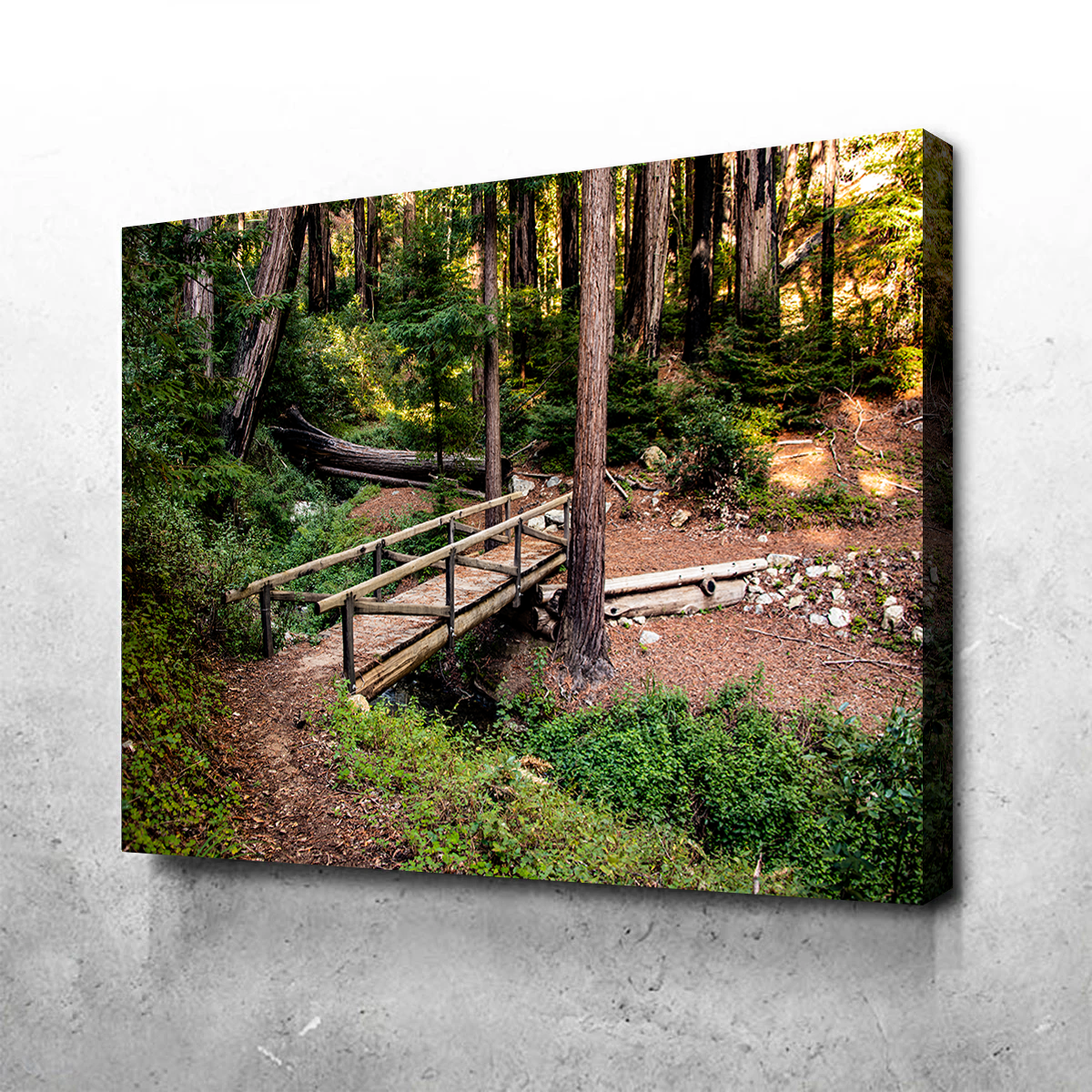 Stunning Ewoldsen Loop Bridge Wall Art by Kyle Sherry