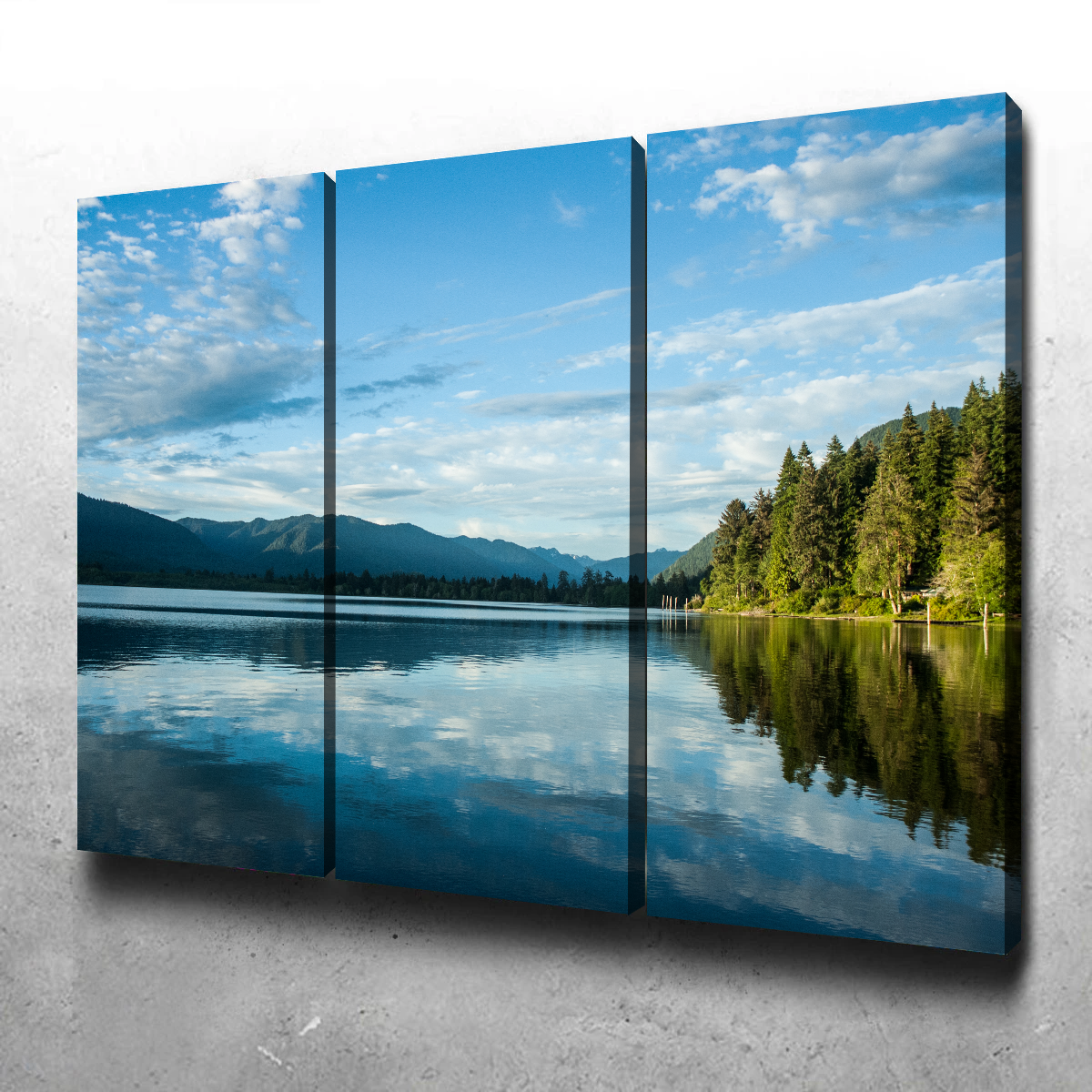 Stunning Lake Quinault Wall Art by Kyle Sherry