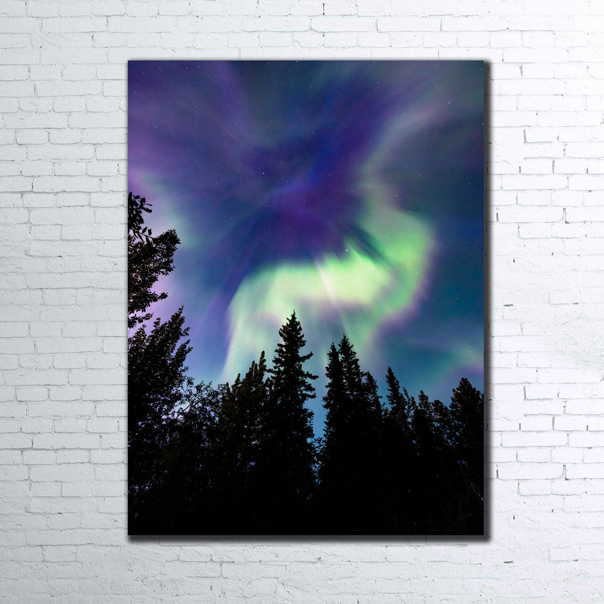 Up in the Sky Wall Art - Stunning Canvas Artwork by Lucas Moore