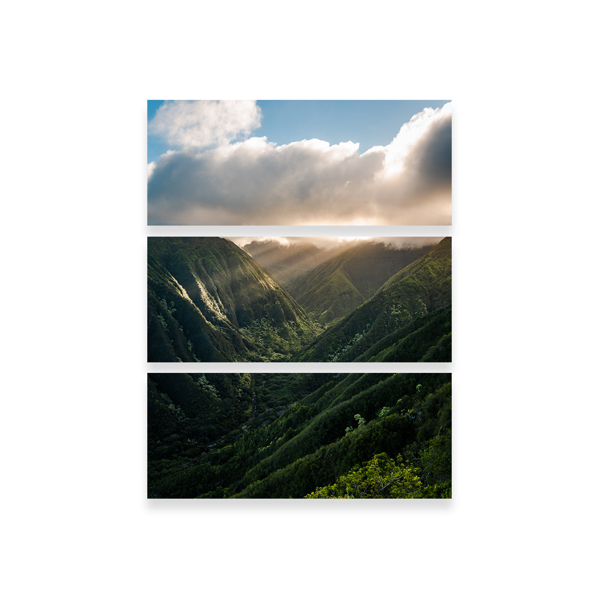 Exquisite Valley of Light Wall Art by Lucas Moore