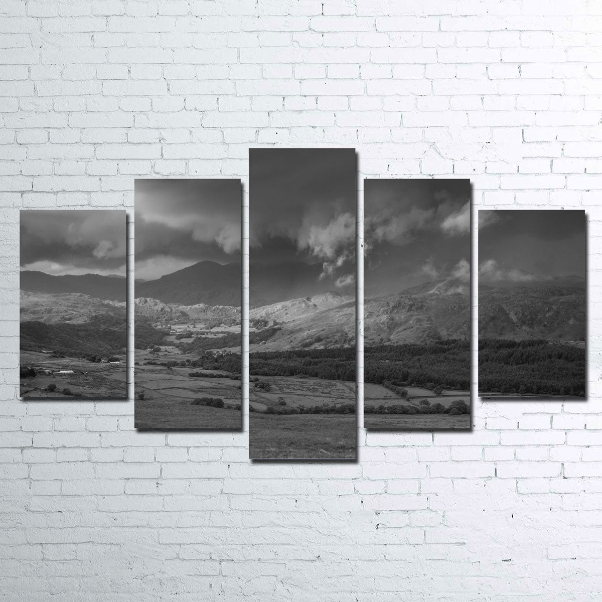 Stormy Fields Exquisite Wall Art by Mike Cotton