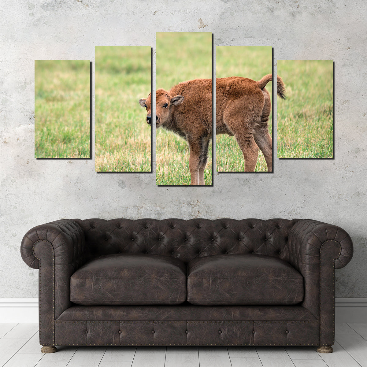 Exquisite Buffalo Calf Wall Art for Home Decor