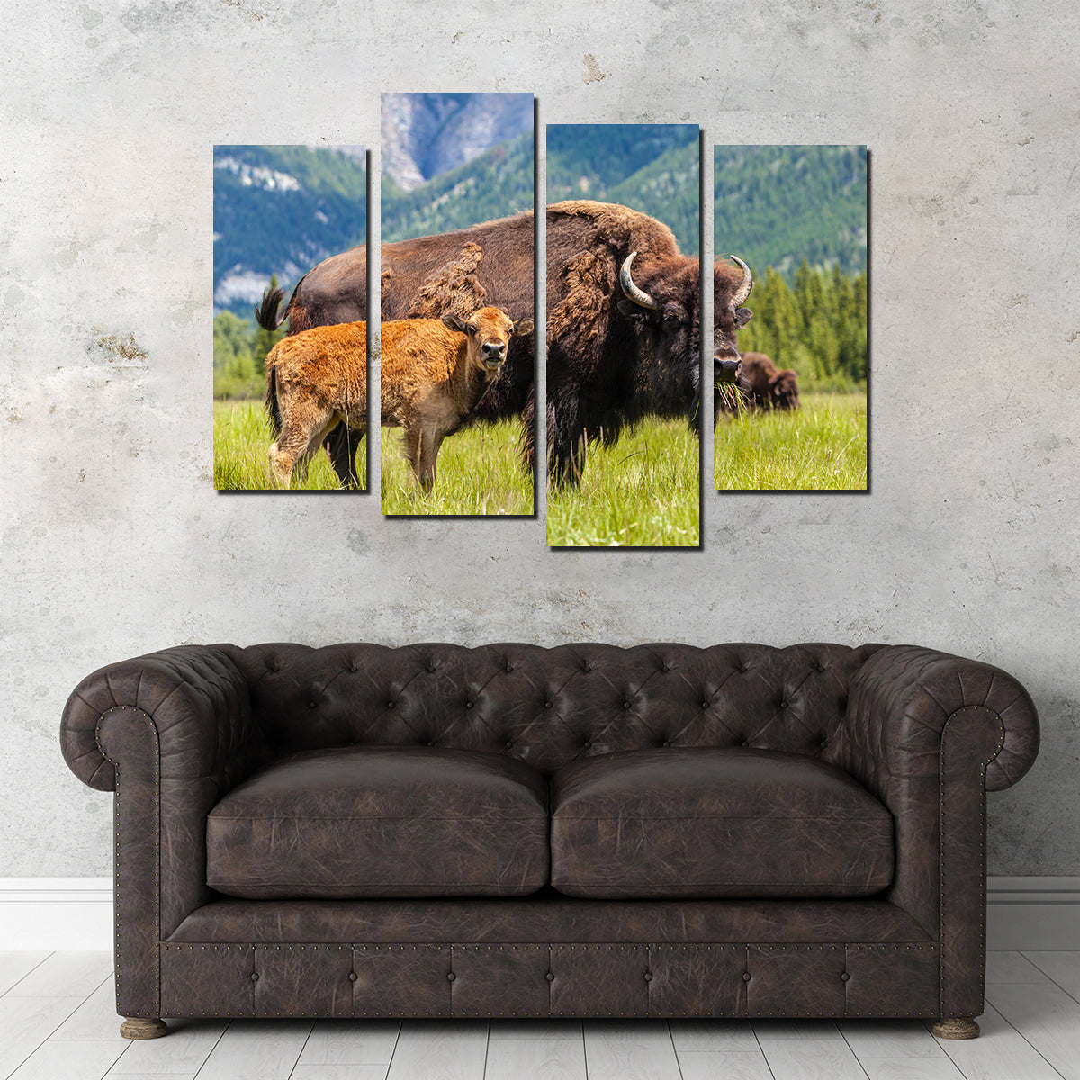 Stunning Buffalo with Calf Wall Art for Your Home Decor