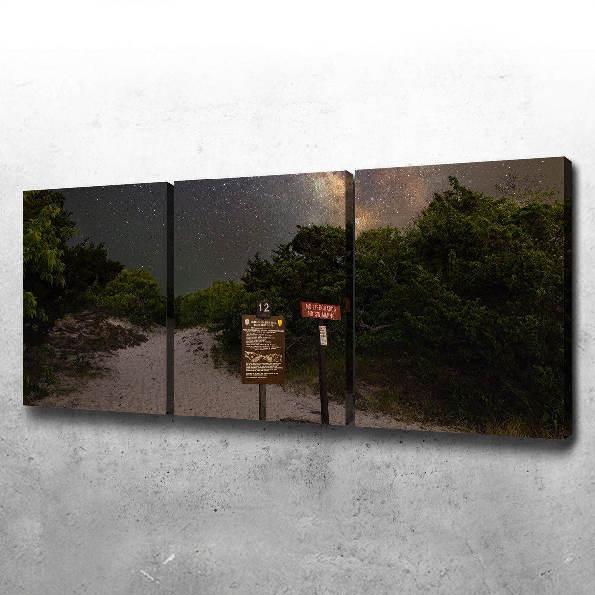 The Quest Wall Art - Stunning Museum-Quality Canvas by Shaun Mayer