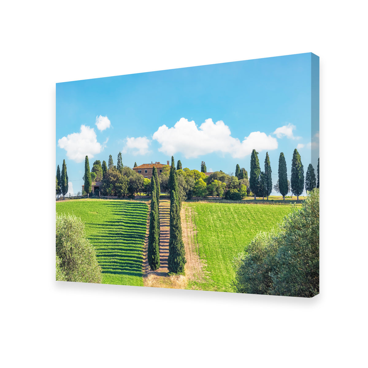 Exquisite Tuscany Wall Art by Manjik Pictures