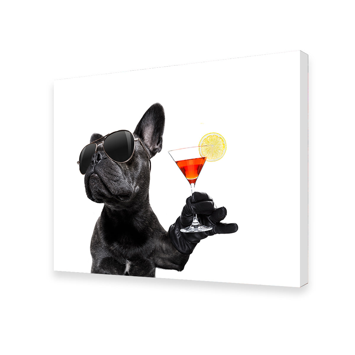 Stylish Martini Dog Wall Art for Modern Interiors