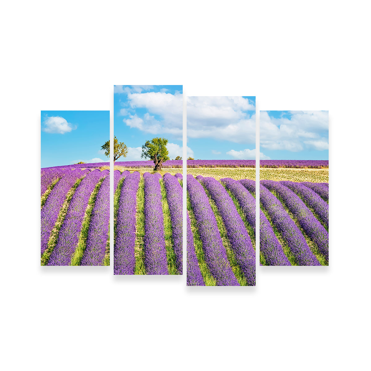Stunning Lavender Field Wall Art for Your Home Decor