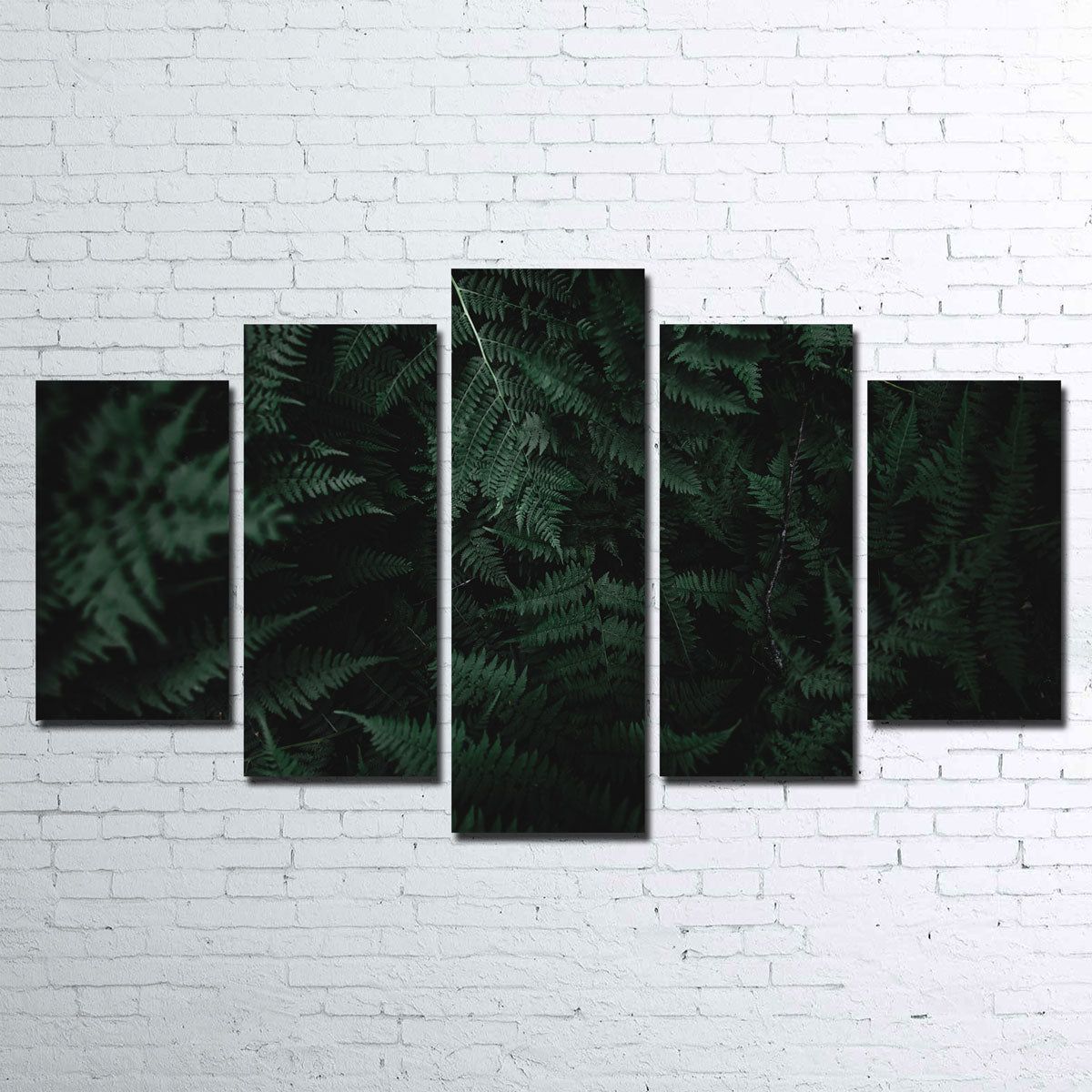 Stunning Ferns Wall Art by Lucas Moore