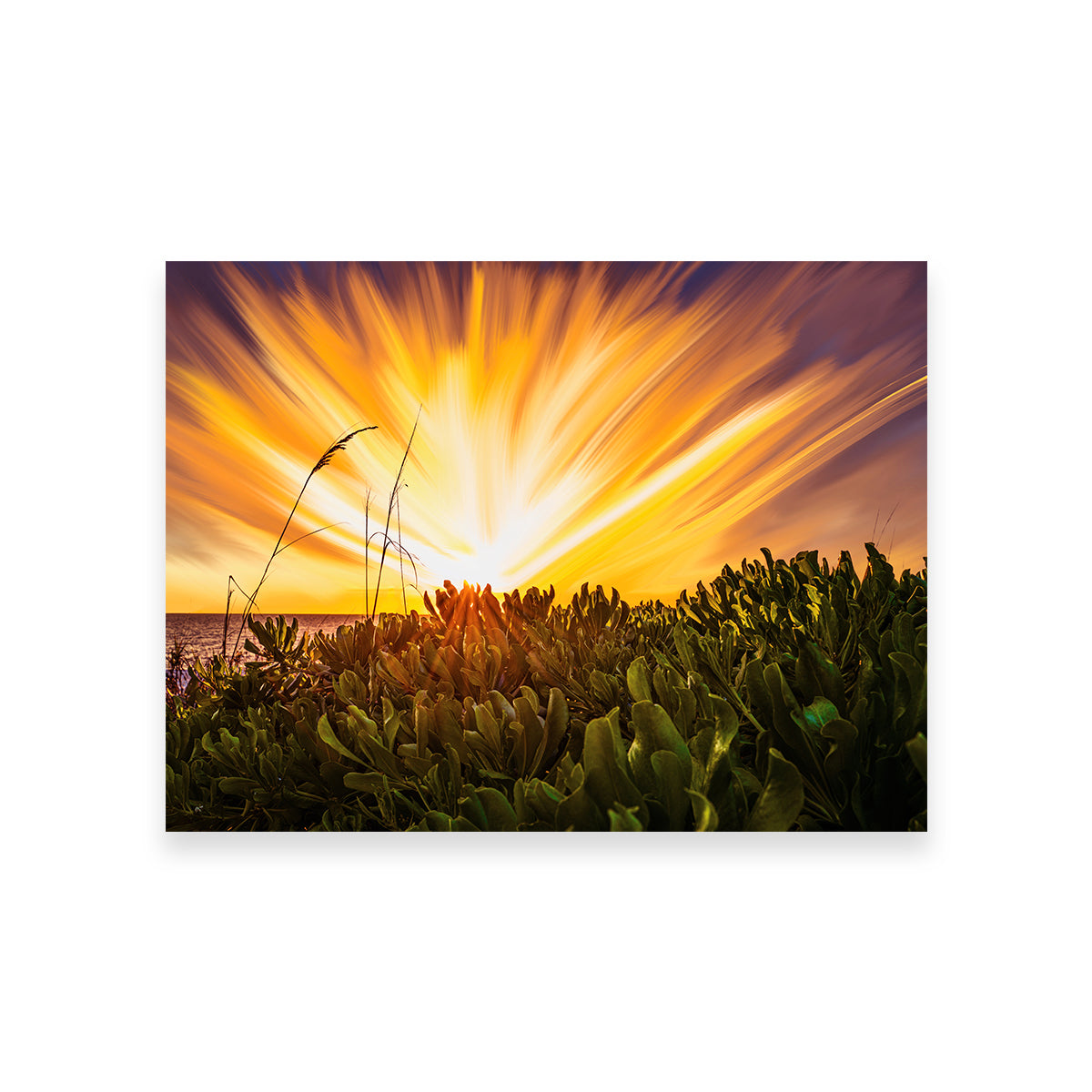 Stunning Exploding Sunset Wall Art by Eileen Rollin