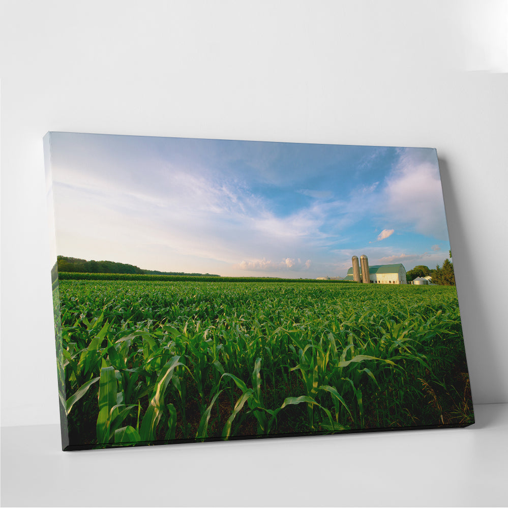 Exquisite Wisconsin Dairy Farm Against Corn Field Wall Art