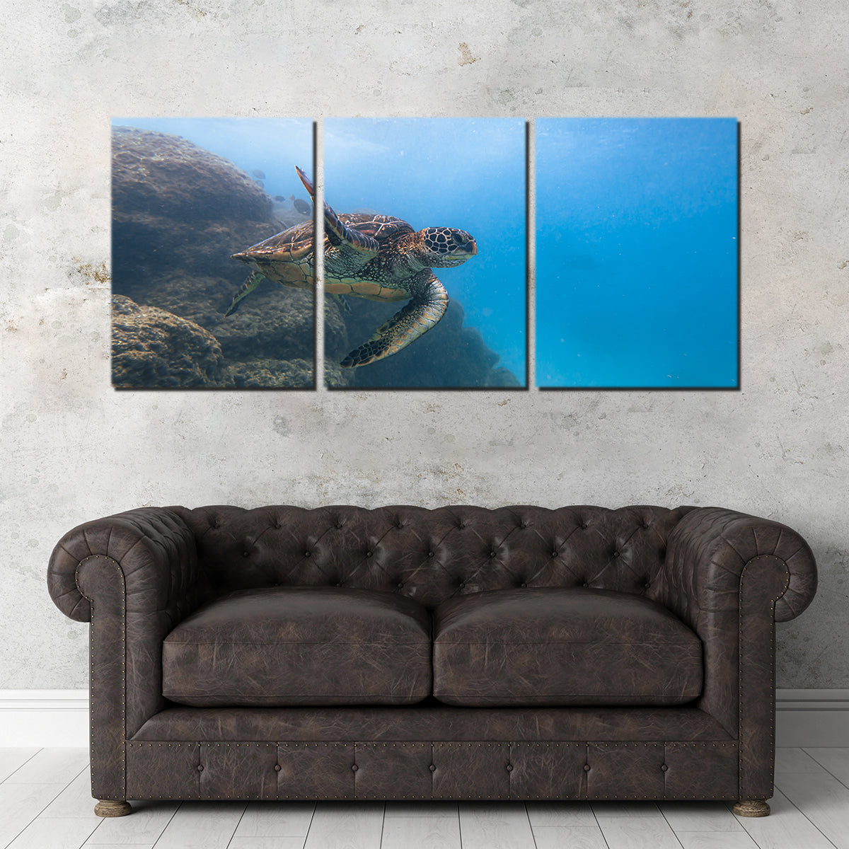 Stunning Turtle Wave Wall Art by Lucas Moore