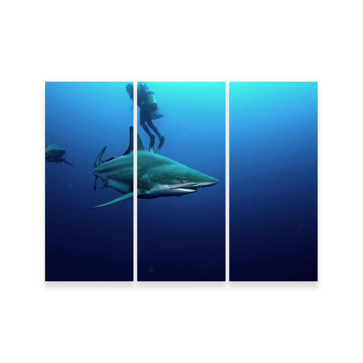 Stunning Bull Shark & Diver Wall Art for Your Home Decor