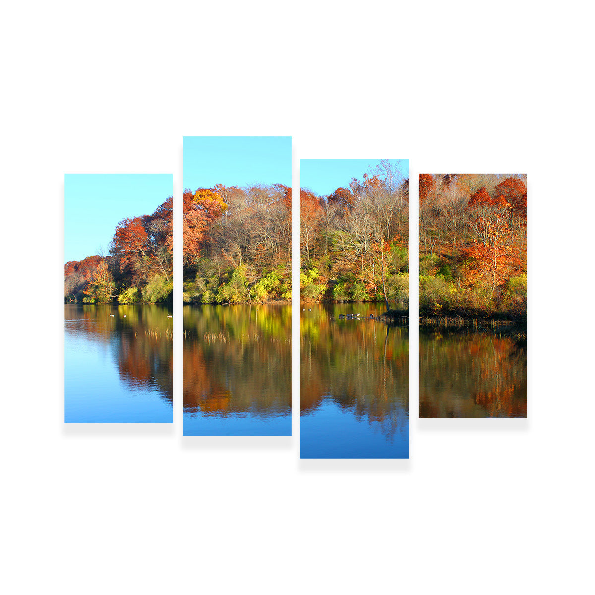 Stunning Kickapoo State Park Wall Art for Your Home Decor