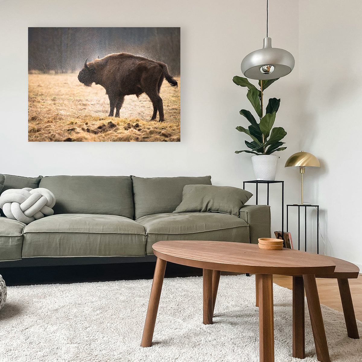 Stunning Wild Bison Shaking off Rain Wall Art for Home Decor