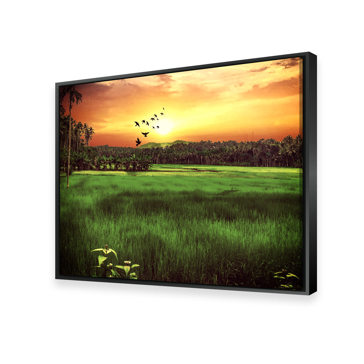 Stunning Sunset Landscape Wall Art by Dina Rolle