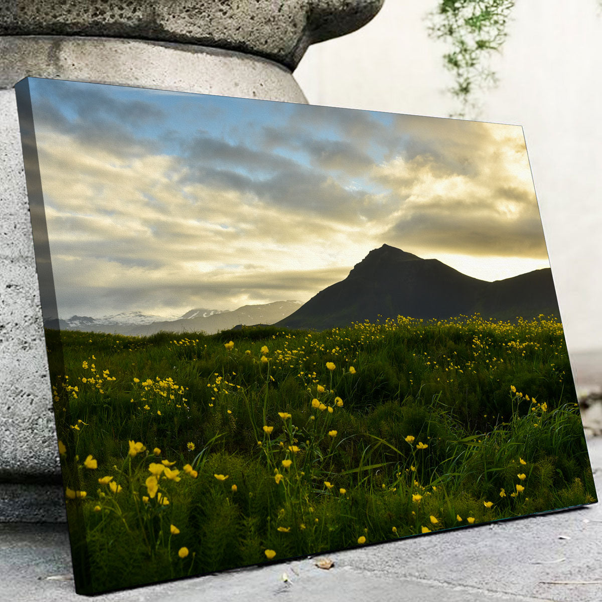 Exquisite Wildflowers Wall Art by Dennis Maida