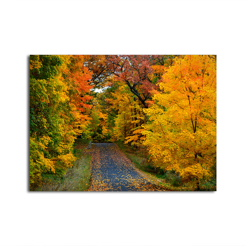 Breathtaking Lake Geneva Wisconsin Fall Road Wall Art for Stunning Home Decor