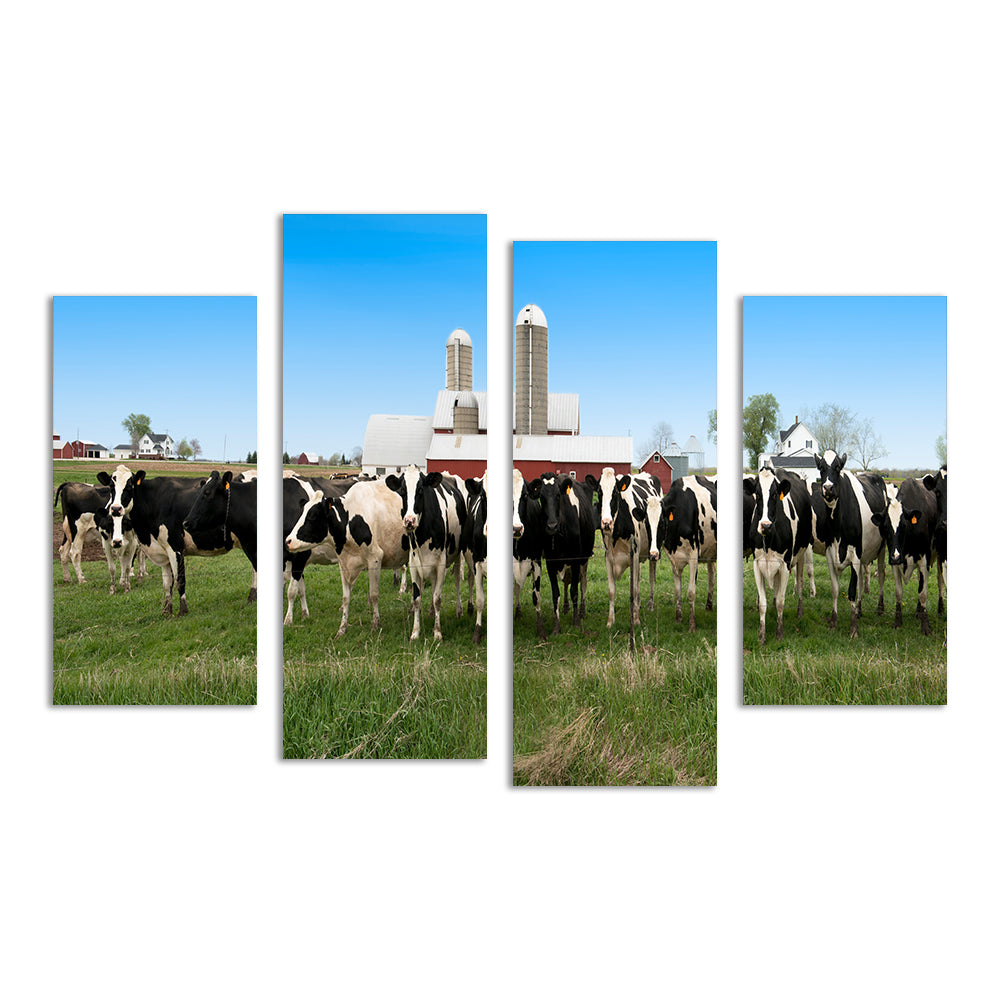 Stunning Wisconsin Dairy Cows Wall Art for Home Decor