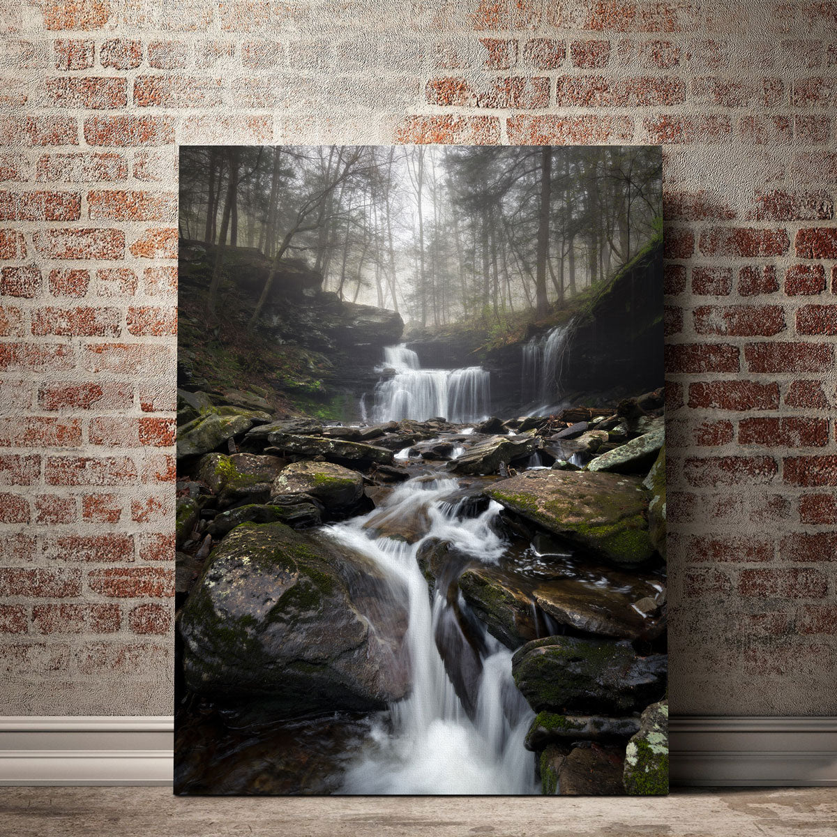 Morning Glow Stunning Wall Art by Shaun Mayer