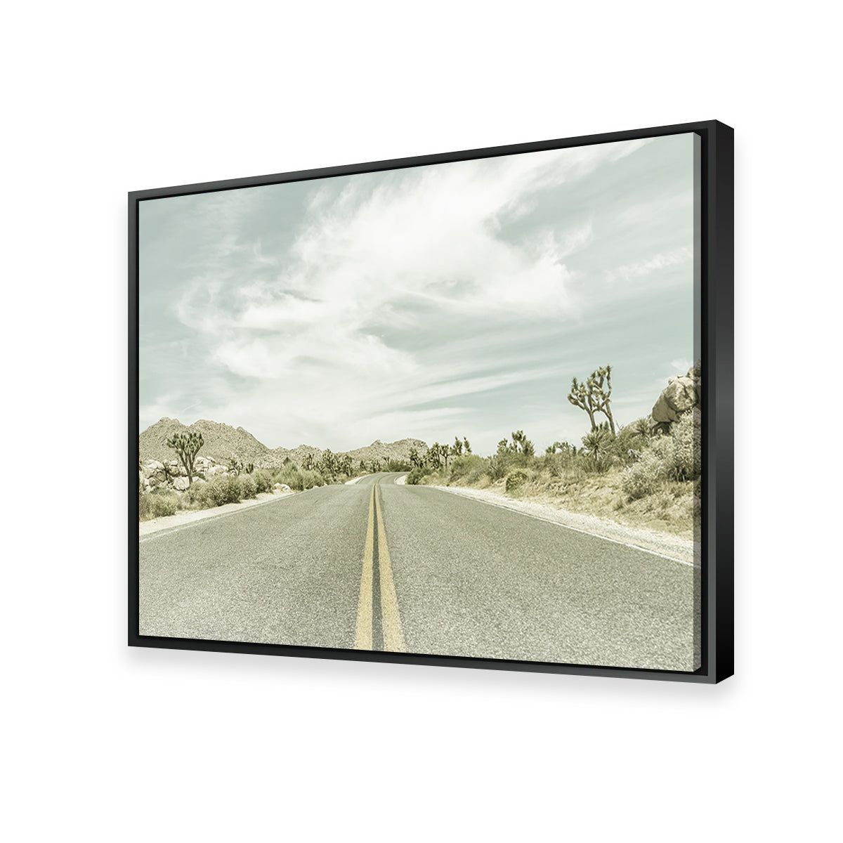 Stunning Joshua Trees Park Boulevard Wall Art by Melanie Viola