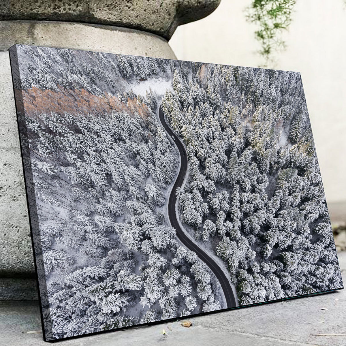 Enchanting Winding Winter Wall Art by Karolis Janulis