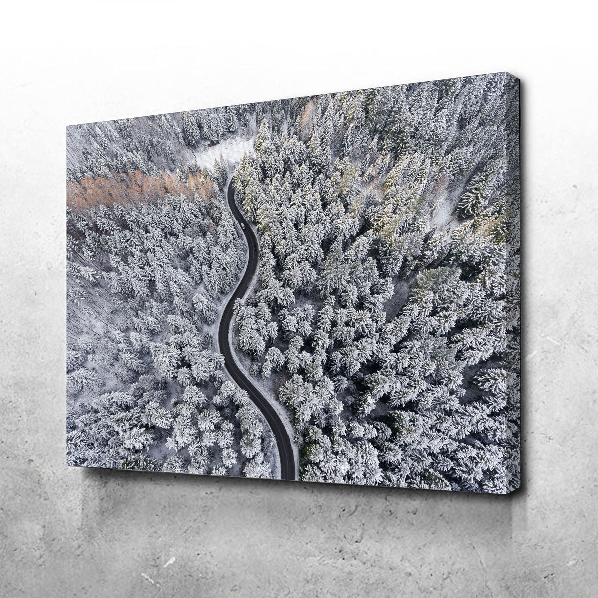 Enchanting Winding Winter Wall Art by Karolis Janulis