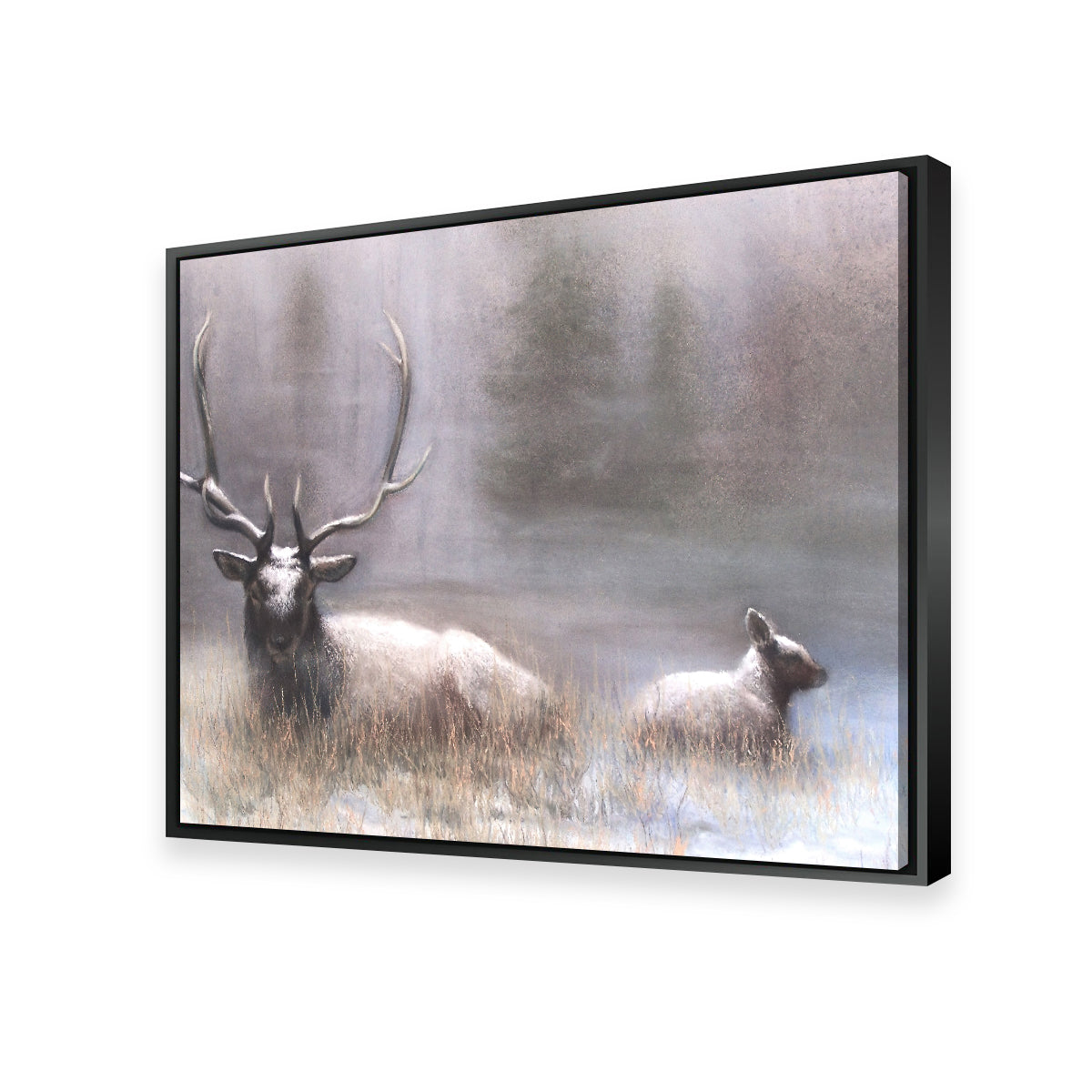 Exquisite Bull Elk & Calf Wall Art by Patricia Jaggie