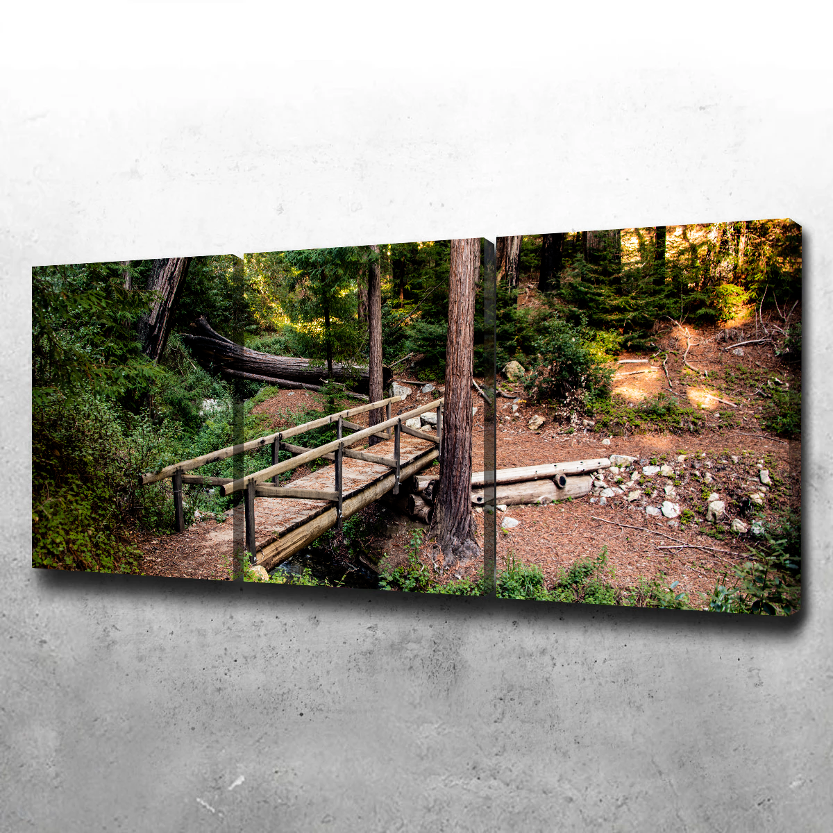 Stunning Ewoldsen Loop Bridge Wall Art by Kyle Sherry