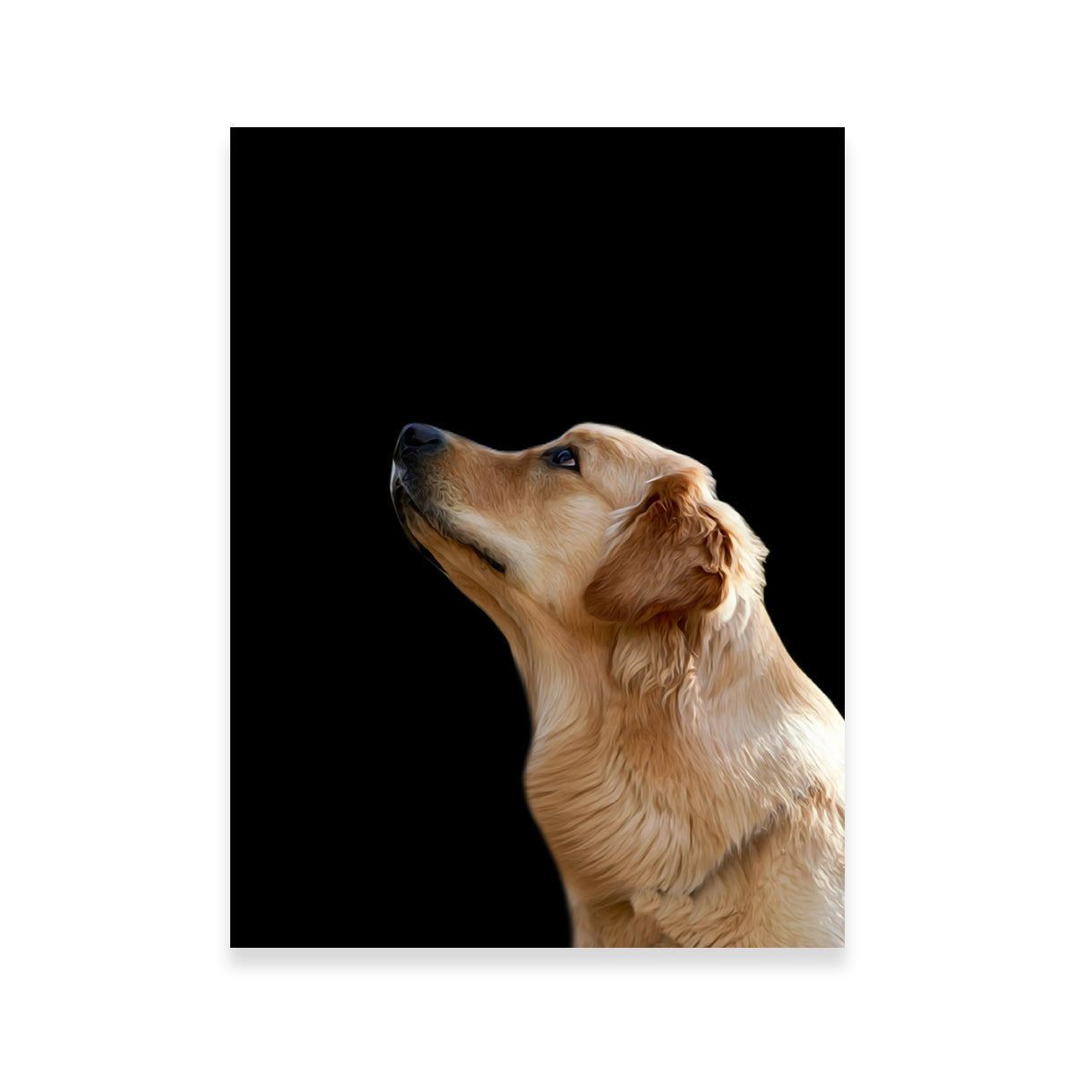 Stunning Labrador Retriever Wall Art by Lawisi