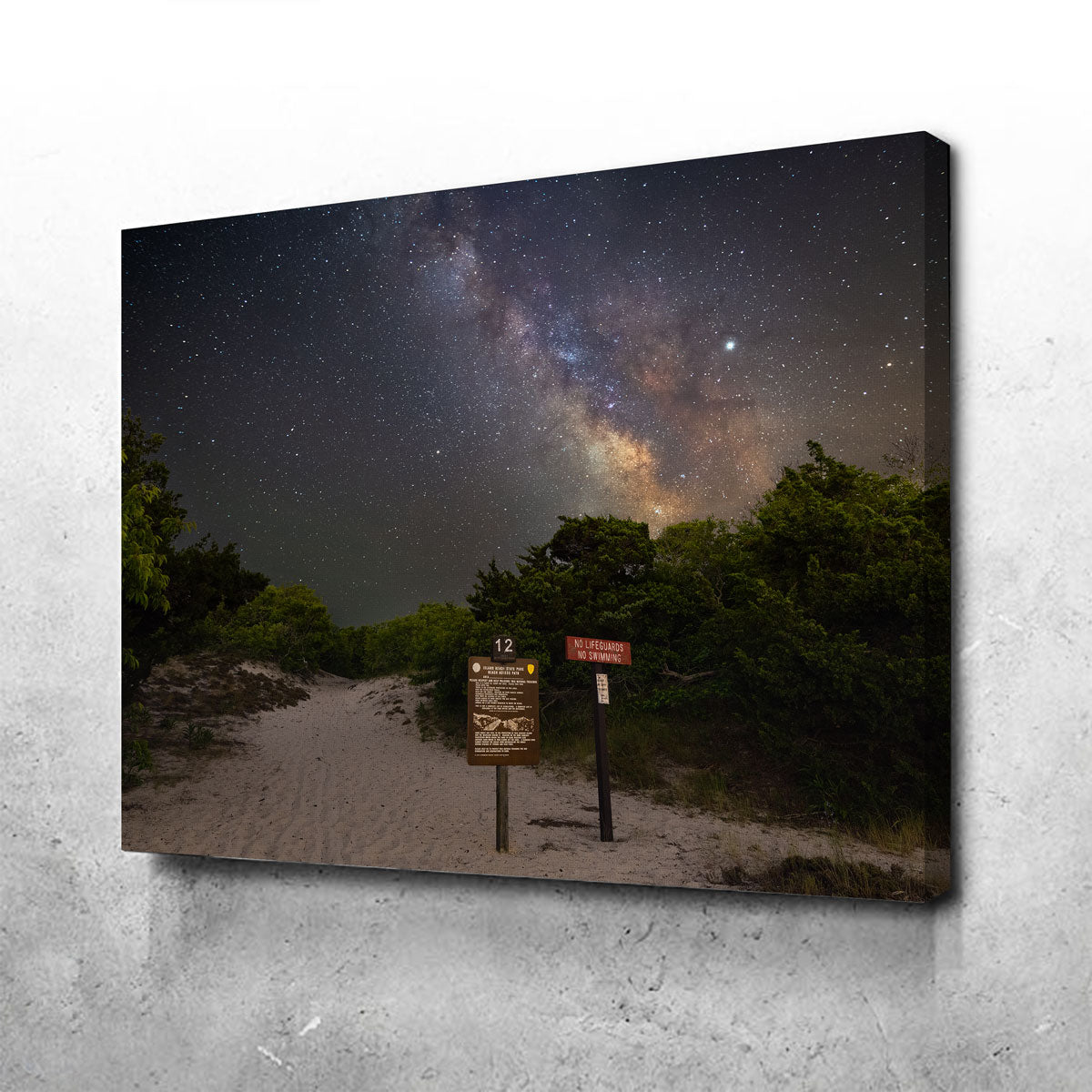 The Quest Wall Art - Stunning Museum-Quality Canvas by Shaun Mayer