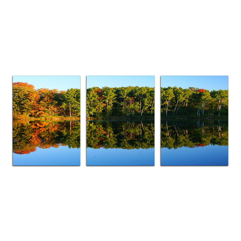 Stunning Kettle Moraine State Forest Wall Art for Home Decor