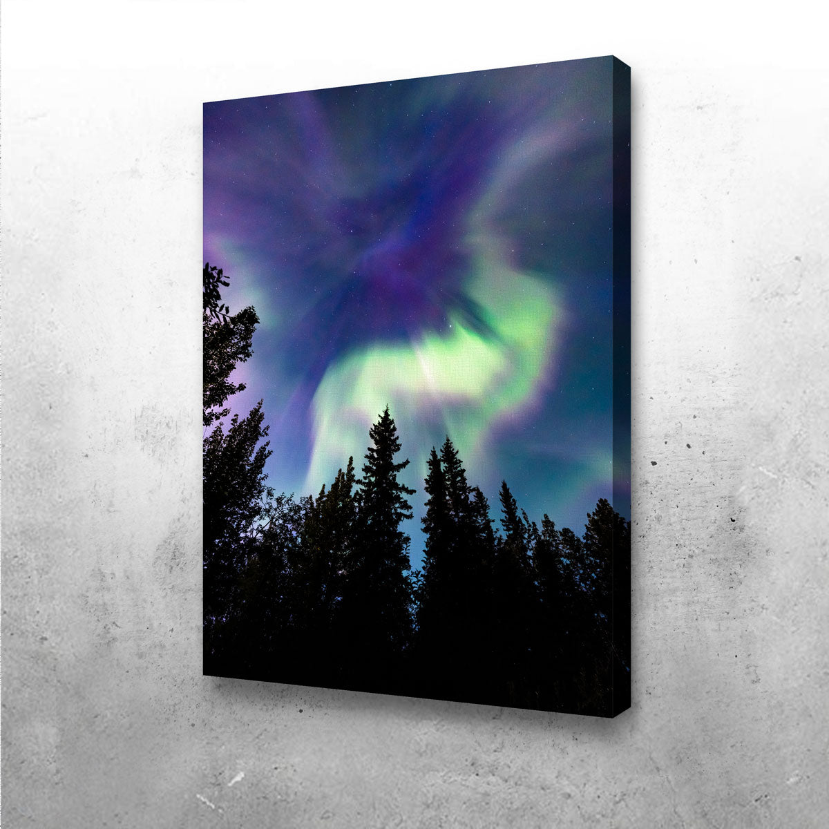 Up in the Sky Wall Art - Stunning Canvas Artwork by Lucas Moore
