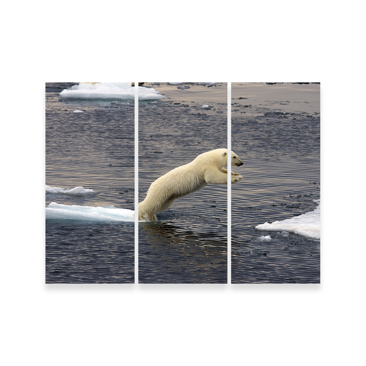 Eye - catching Jumping Polar Bear Wall Art for Stunning Home Decor