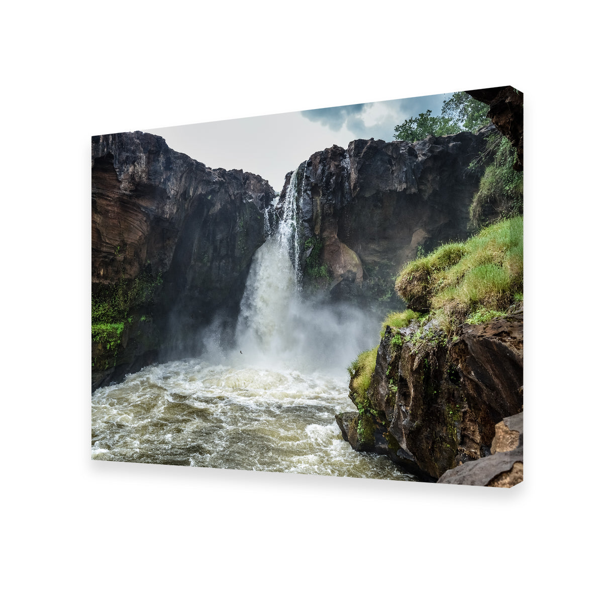 Brazilian Rio Farinha Waterfall Wall Art by Sofia Leite Fonseca