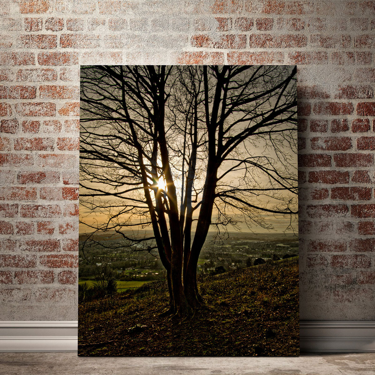 Stunning Box Hill Sunset Wall Art by Mike Cotton