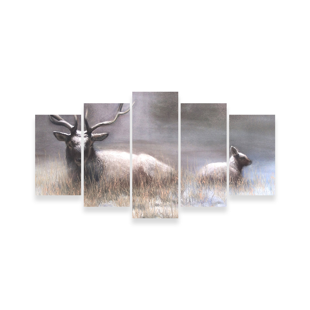 Exquisite Bull Elk & Calf Wall Art by Patricia Jaggie