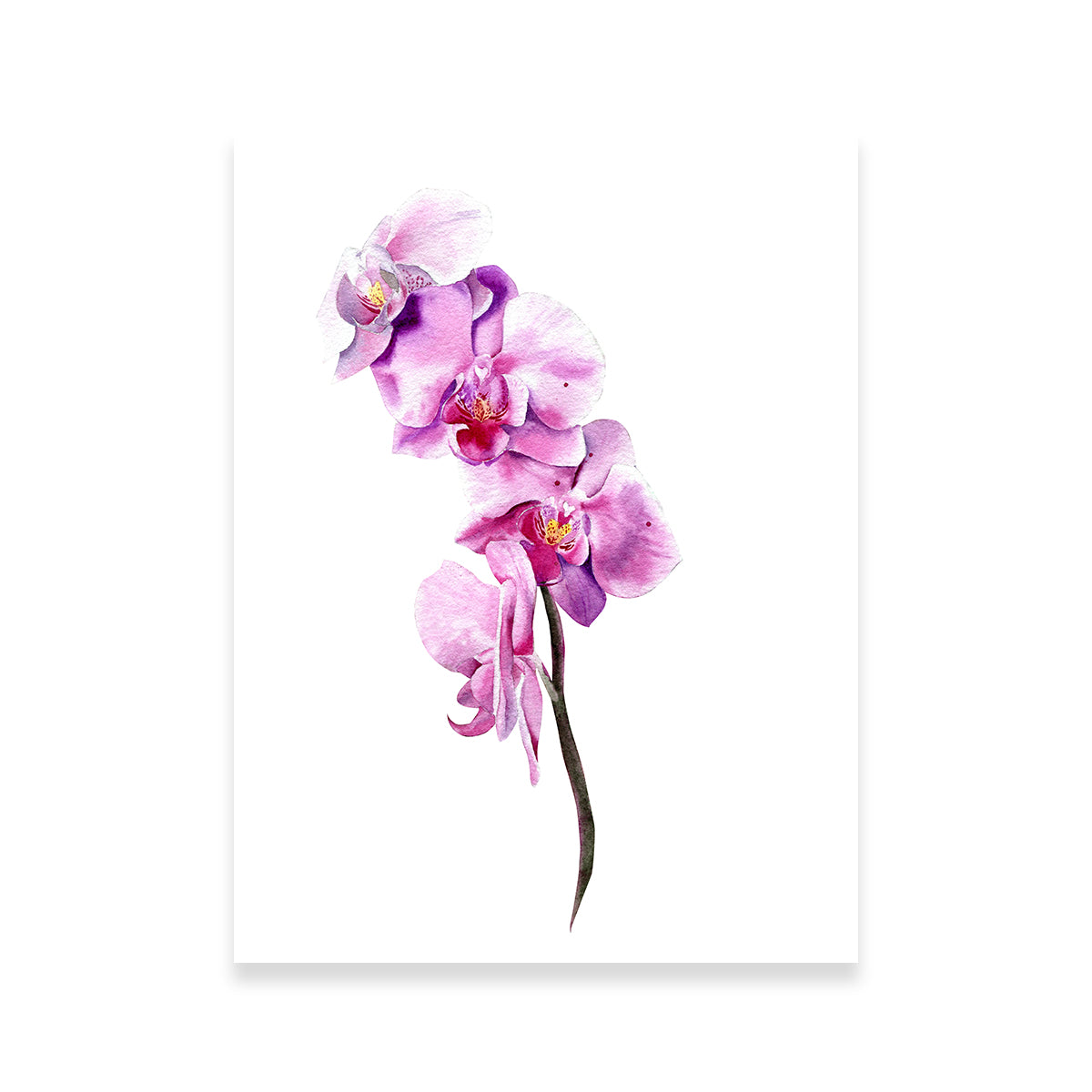 Exquisite Watercolor Orchid Wall Art for Home Decor