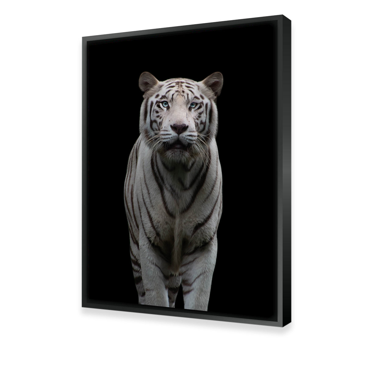 Stunning White Tiger Wall Art by Lawisi